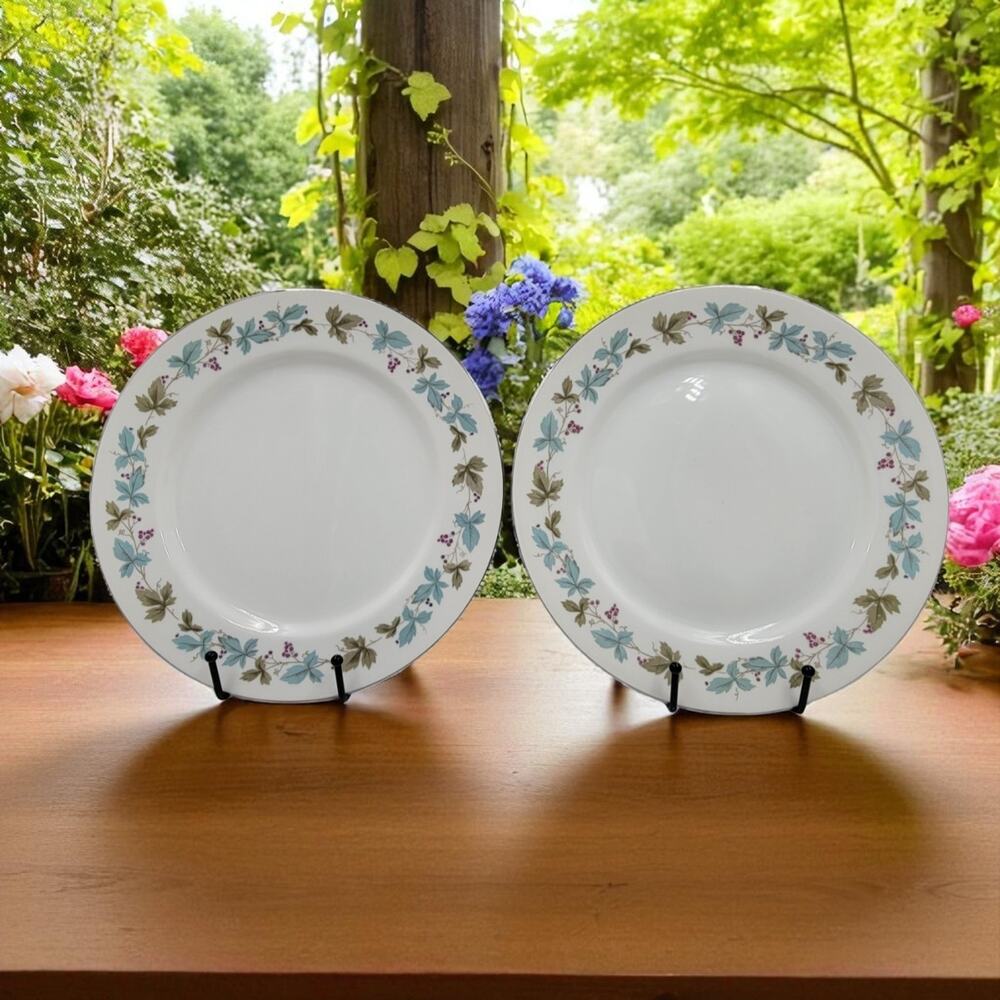 Two Vintage Fine China of Japan 6701 Dinner Plates Grapevine Silver Trim 1960s